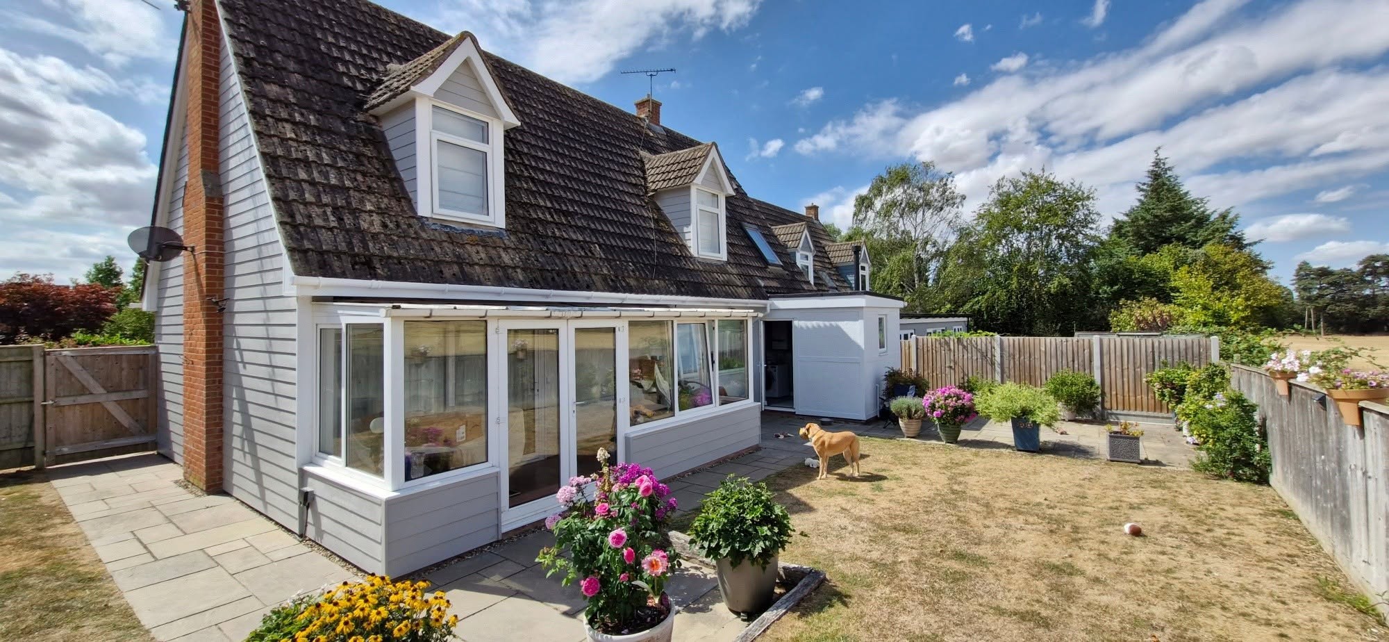 Grey and white weatherboard chalet bungalow with a conservatory